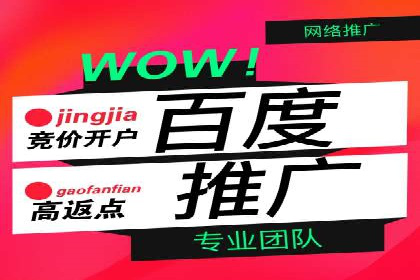 百度SEM竞价推广，案例解析转化率提升秘诀